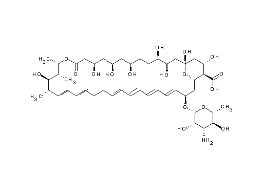 33-[(3-amino-3,6-dideoxy-b-D-mannopyranosyl)oxy]-1,3,4,7,9,11,17,37-octahydroxy-15,16,18-trimethyl-13-oxo-14,39-dioxabicyclo[33.3.1]nonatriaconta-19,21,25,27,29,31-hexaene-36-carboxylic acid