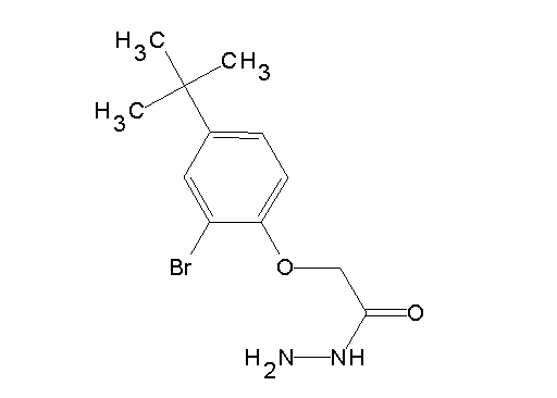 2-(2-bromo-4-tert-butylphenoxy)acetohydrazide