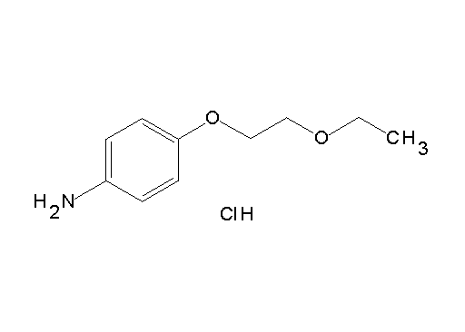 [4-(2-ethoxyethoxy)phenyl]amine hydrochloride