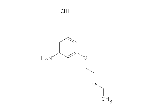 [3-(2-ethoxyethoxy)phenyl]amine hydrochloride