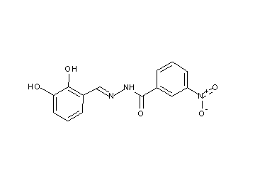 N'-(2,3-dihydroxybenzylidene)-3-nitrobenzohydrazide N'-(2,3-dihydroxybenzylidene)-3-nitrobenzohydrazide