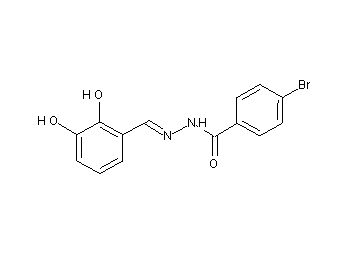 4-bromo-N'-(2,3-dihydroxybenzylidene)benzohydrazide