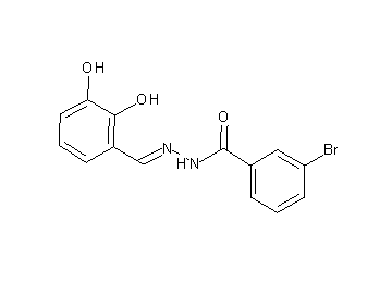 3-bromo-N'-(2,3-dihydroxybenzylidene)benzohydrazide
