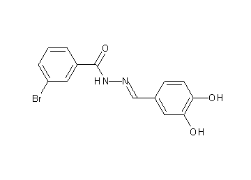 3-bromo-N'-(3,4-dihydroxybenzylidene)benzohydrazide