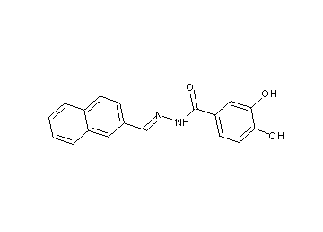 3,4-dihydroxy-N'-(2-naphthylmethylene)benzohydrazide
