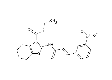 ethyl 2-{[3-(3-nitrophenyl)acryloyl]amino}-4,5,6,7-tetrahydro-1-benzothiophene-3-carboxylate