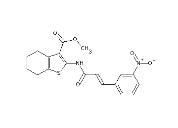methyl 2-{[3-(3-nitrophenyl)acryloyl]amino}-4,5,6,7-tetrahydro-1-benzothiophene-3-carboxylate