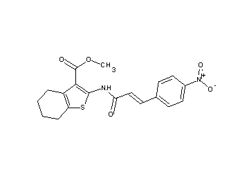 methyl 2-{[3-(4-nitrophenyl)acryloyl]amino}-4,5,6,7-tetrahydro-1-benzothiophene-3-carboxylate