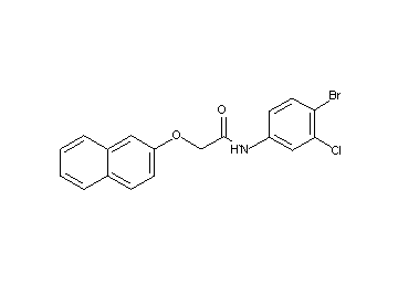 N-(4-bromo-3-chlorophenyl)-2-(2-naphthyloxy)acetamide