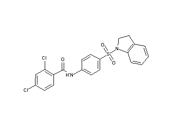 2,4-dichloro-N-[4-(2,3-dihydro-1H-indol-1-ylsulfonyl)phenyl]benzamide