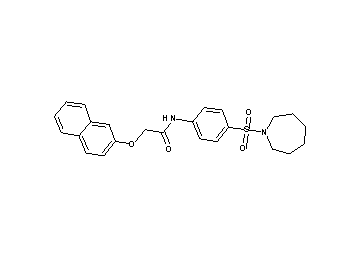 N-[4-(1-azepanylsulfonyl)phenyl]-2-(2-naphthyloxy)acetamide