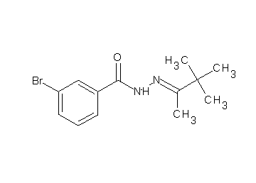 3-bromo-N'-(1,2,2-trimethylpropylidene)benzohydrazide 3-bromo-N'-(1,2,2-trimethylpropylidene)benzohydrazide