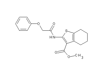 methyl 2-[(phenoxyacetyl)amino]-4,5,6,7-tetrahydro-1-benzothiophene-3-carboxylate