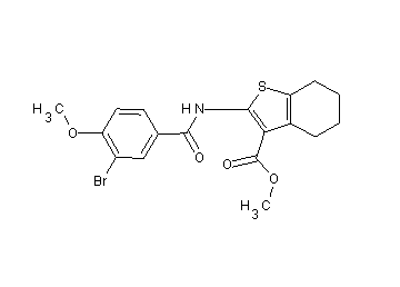 methyl 2-[(3-bromo-4-methoxybenzoyl)amino]-4,5,6,7-tetrahydro-1-benzothiophene-3-carboxylate