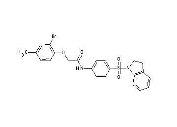 2-(2-bromo-4-methylphenoxy)-N-[4-(2,3-dihydro-1H-indol-1-ylsulfonyl)phenyl]acetamide