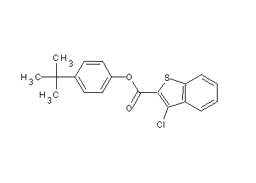 4-tert-butylphenyl 3-chloro-1-benzothiophene-2-carboxylate