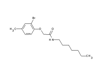 2-(2-bromo-4-methylphenoxy)-N-heptylacetamide