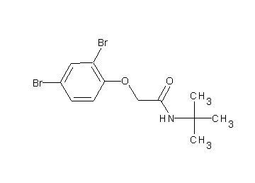 N-(tert-butyl)-2-(2,4-dibromophenoxy)acetamide - Click Image to Close