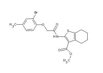 methyl 2-{[(2-bromo-4-methylphenoxy)acetyl]amino}-4,5,6,7-tetrahydro-1-benzothiophene-3-carboxylate