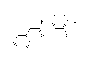 N-(4-bromo-3-chlorophenyl)-2-phenylacetamide