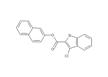 2-naphthyl 3-chloro-1-benzothiophene-2-carboxylate