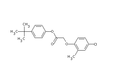 4-tert-butylphenyl (4-chloro-2-methylphenoxy)acetate