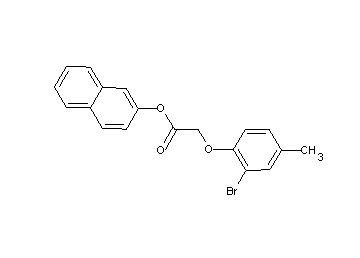 2-naphthyl (2-bromo-4-methylphenoxy)acetate