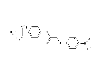 4-tert-butylphenyl (4-nitrophenoxy)acetate