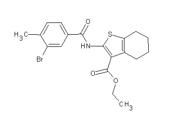 ethyl 2-[(3-bromo-4-methylbenzoyl)amino]-4,5,6,7-tetrahydro-1-benzothiophene-3-carboxylate