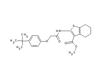 methyl 2-{[(4-tert-butylphenoxy)acetyl]amino}-4,5,6,7-tetrahydro-1-benzothiophene-3-carboxylate