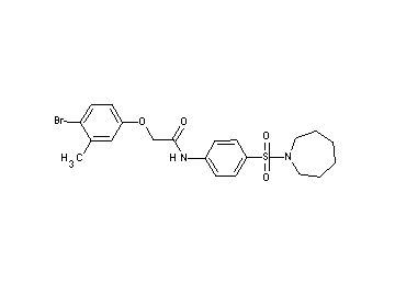 N-[4-(1-azepanylsulfonyl)phenyl]-2-(4-bromo-3-methylphenoxy)acetamide