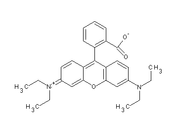 2-[6-(diethylamino)-3-(diethyliminio)-3H-xanthen-9-yl]benzoate