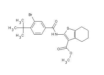 methyl 2-[(3-bromo-4-tert-butylbenzoyl)amino]-4,5,6,7-tetrahydro-1-benzothiophene-3-carboxylate