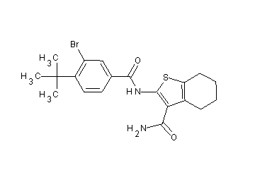 2-[(3-bromo-4-tert-butylbenzoyl)amino]-4,5,6,7-tetrahydro-1-benzothiophene-3-carboxamide