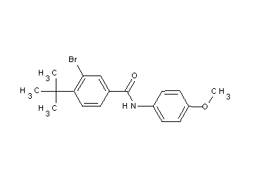 3-bromo-4-tert-butyl-N-(4-methoxyphenyl)benzamide 3-bromo-4-tert-butyl-N-(4-methoxyphenyl)benzamide