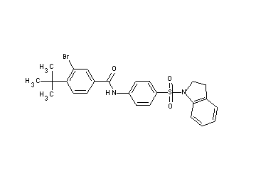 3-bromo-4-tert-butyl-N-[4-(2,3-dihydro-1H-indol-1-ylsulfonyl)phenyl]benzamide