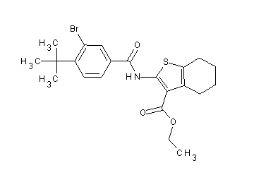 ethyl 2-[(3-bromo-4-tert-butylbenzoyl)amino]-4,5,6,7-tetrahydro-1-benzothiophene-3-carboxylate