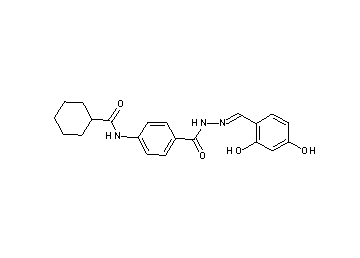 N-(4-{[2-(2,4-dihydroxybenzylidene)hydrazino]carbonyl}phenyl)cyclohexanecarboxamide - Click Image to Close