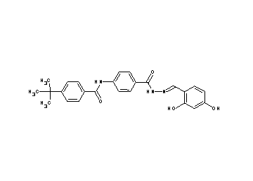 4-tert-butyl-N-(4-{[2-(2,4-dihydroxybenzylidene)hydrazino]carbonyl}phenyl)benzamide - Click Image to Close