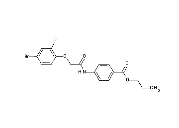 propyl 4-{[(4-bromo-2-chlorophenoxy)acetyl]amino}benzoate