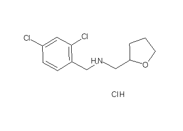 (2,4-dichlorobenzyl)(tetrahydro-2-furanylmethyl)amine hydrochloride - Click Image to Close
