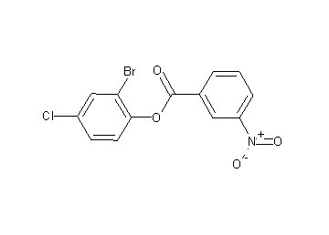 2-bromo-4-chlorophenyl 3-nitrobenzoate - Click Image to Close