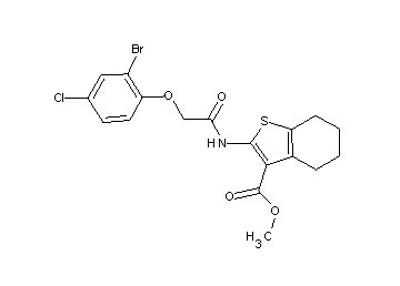 methyl 2-{[(2-bromo-4-chlorophenoxy)acetyl]amino}-4,5,6,7-tetrahydro-1-benzothiophene-3-carboxylate