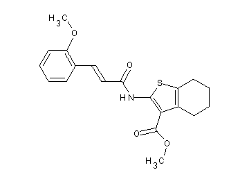 methyl 2-{[3-(2-methoxyphenyl)acryloyl]amino}-4,5,6,7-tetrahydro-1-benzothiophene-3-carboxylate