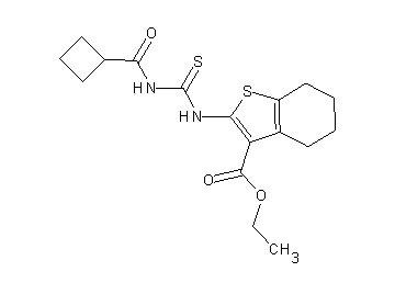 ethyl 2-({[(cyclobutylcarbonyl)amino]carbonothioyl}amino)-4,5,6,7-tetrahydro-1-benzothiophene-3-carboxylate