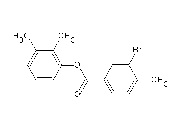 2,3-dimethylphenyl 3-bromo-4-methylbenzoate