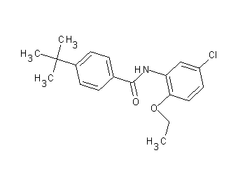 4-tert-butyl-N-(5-chloro-2-ethoxyphenyl)benzamide