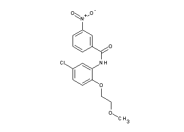 N-[5-chloro-2-(2-methoxyethoxy)phenyl]-3-nitrobenzamide