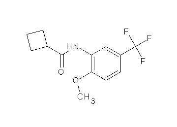 N-[2-methoxy-5-(trifluoromethyl)phenyl]cyclobutanecarboxamide