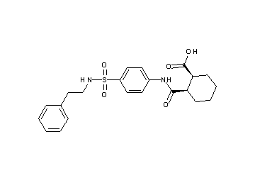 2-{[(4-{[(2-phenylethyl)amino]sulfonyl}phenyl)amino]carbonyl}cyclohexanecarboxylic acid